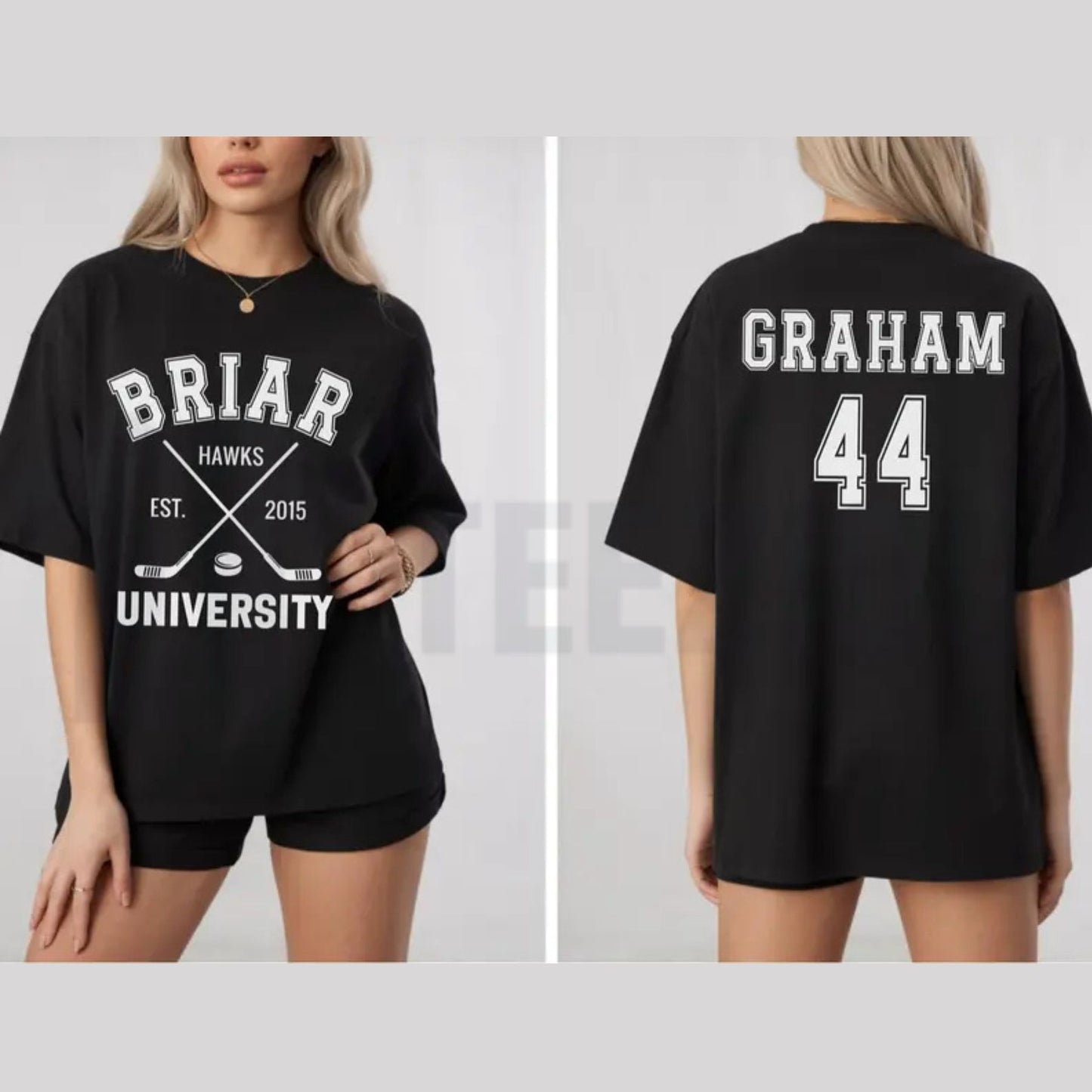 Briar U Hockey T-Shirt – Vintage Off-Campus Book Club Tee
